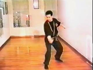 Школа тигра фильм 2 позиции рук в бою блоки и удары