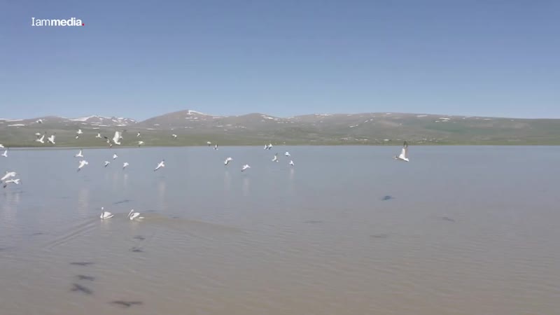 Armenian beauty lake arpi