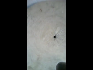 Мечта засранца mp4