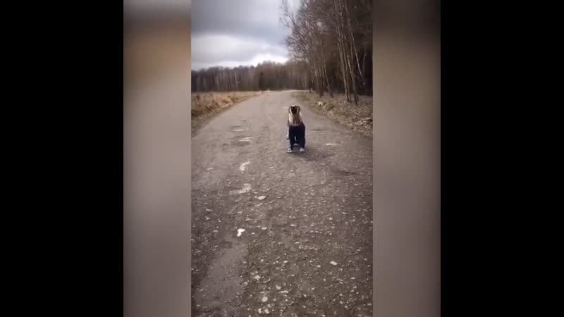 Выходили собакена