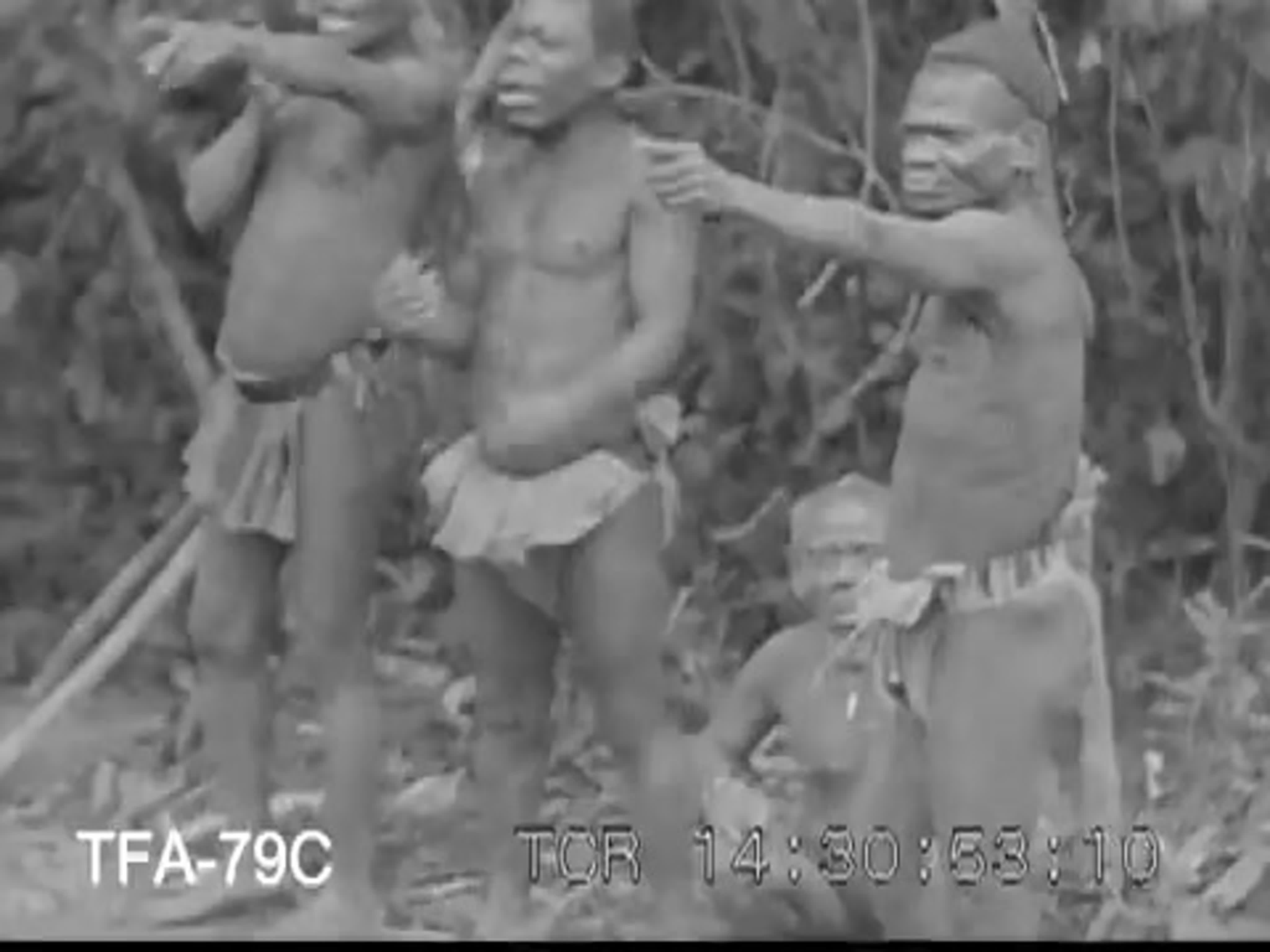 Африканские пигмеи, 1930 е the pygmies of africa, 1930s watch online