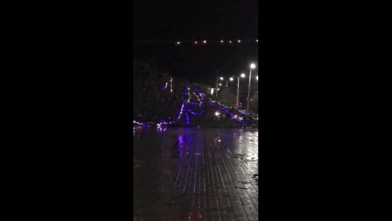 Упала ёлка в каспийске