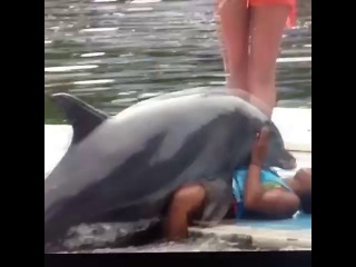 Порно дельфина с девушкой. ⭐️ Смотреть онлайн порно в HD на адвокаты-калуга.рф