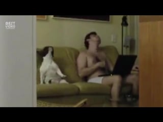 Жена тайком сняла видео, как муж танцует с собакой