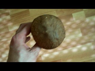 Мой сегодняшний белый
