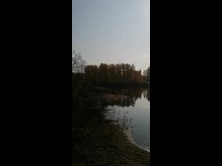 Vid 20201001 101607 mp4