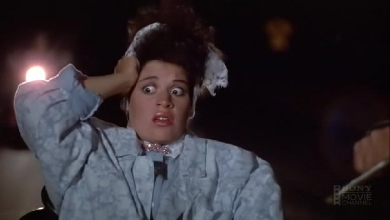 Школа стюардесс / stewardess school (1986)