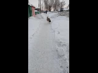 Video 20210107 163636 mp4