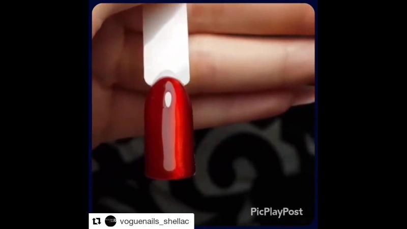 🎀 кошка + витраж