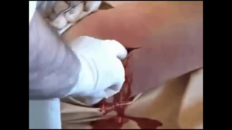 Мерзостей на ночь 😍