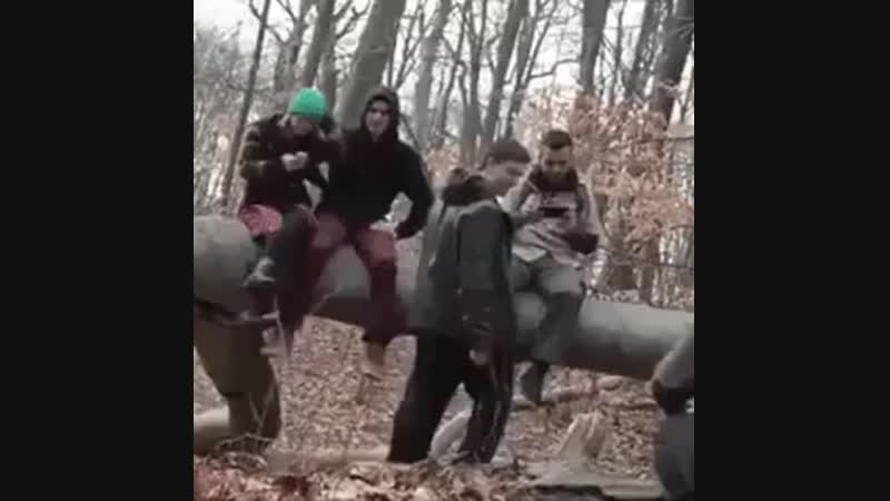 Стадо баранов mp4