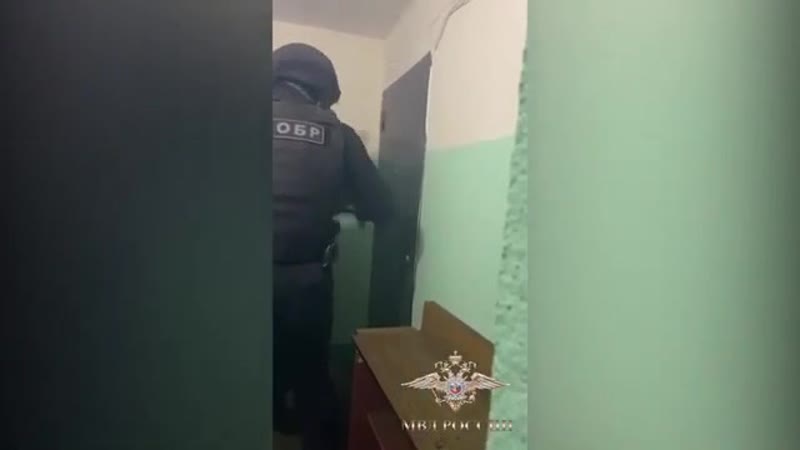 Полицейские задержали межрегиональную банду, которая крала данные о банковских картах россиян на сайтах