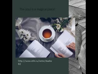 Green and cream minimalism new year animated social media mp4