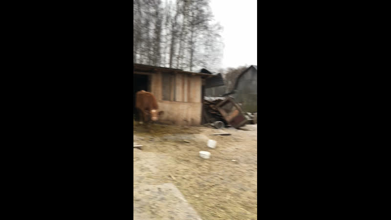 Идилия у сына мясника