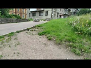 Vid 20200806 145137 mp4