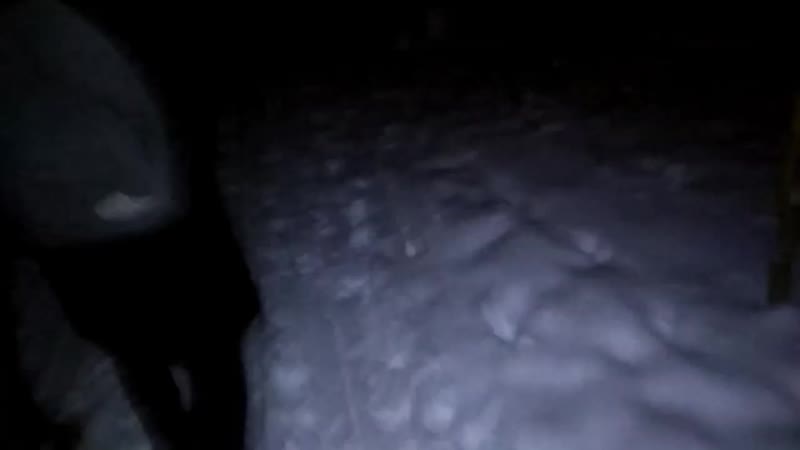 Заблудились в лесу