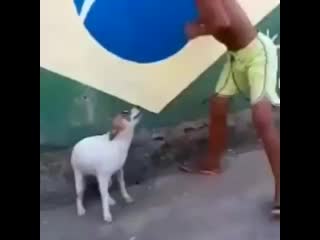 Old video00 20191119 11 mp4