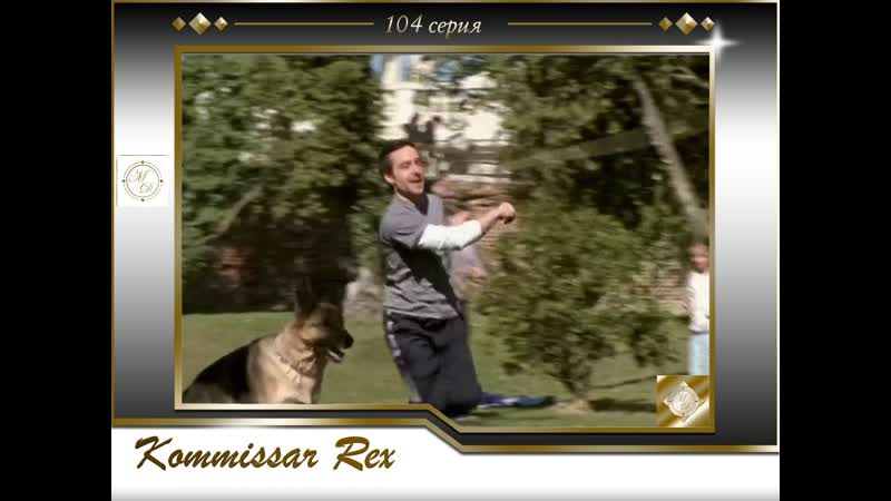 Komissar rex 9x03 ettrichs taube / комиссар рекс 104 серия голубь эттриха