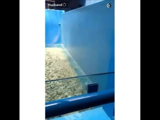 Snapchat | @tfa alexaiono | 184