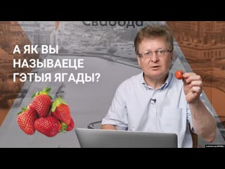 Клубніцы, трускаўкі, трускалкі як правільна как по беларусски «клубника»