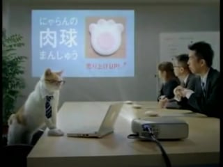 Cute japanese kitty cat commercial jalan