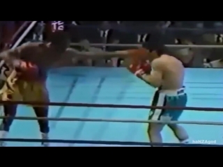 Thomas hearns masterful left hand