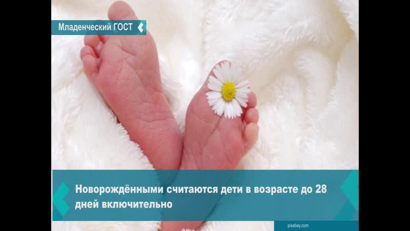 С 1 января 2020 года будет ведён гост на оказание фотоуслуг для новорождённых