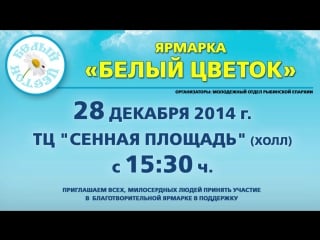 Ролик бц в автобусы