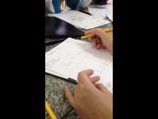 9 онтогенез нервной системы