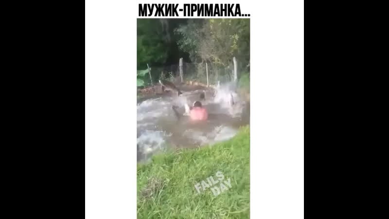 Ловля на живца