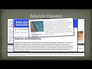 Die üblichen verdächtigen! archonten black goo und xenu