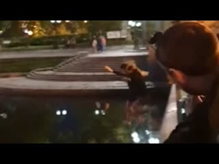 Бухая парочка сиганула с плотинки в пруд real video