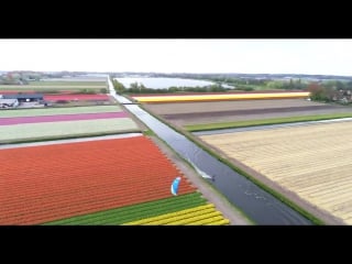 Kiteboarding in dutch flowers