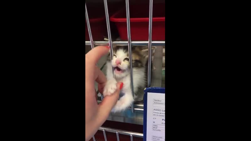 Забери меня от сюда !