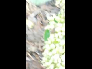 Vid 20201023 143538 mp4