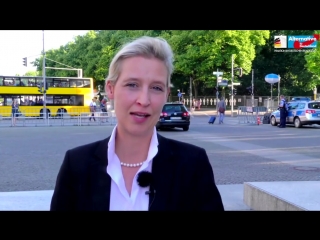 Alice weidel deutliche worte zum mord an