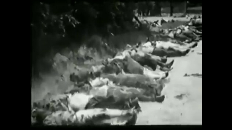 24 6 1941 у трьох тюрмах львова розстріляно 1808 осіб з метою «прискореного розвантаження від контрреволюційного елемента»