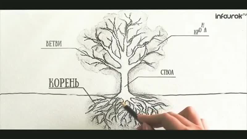 Учителям выпускники 11 х классов