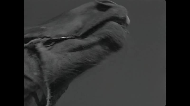 Туве маэс в фильме "дитте – дитя человеческое" (драма,дания,1946)