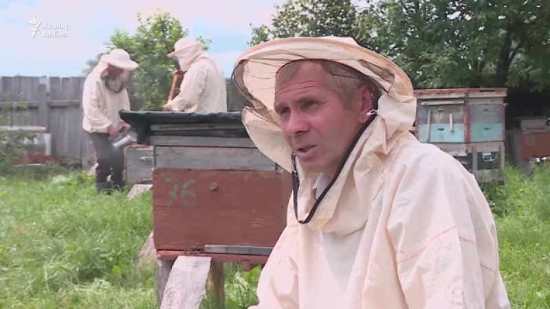 Быел башкорт балы булмаска охшый