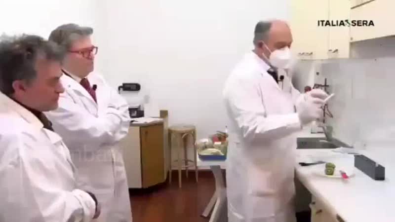 Киви успешно сдал тест на ковид