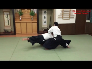 Irimi nage показ техники shirakawa ryuji sensei