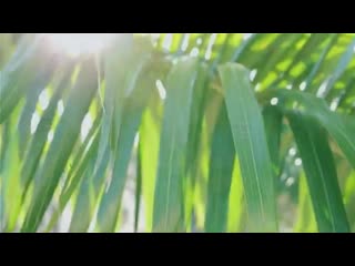 Suprafive eric k desire