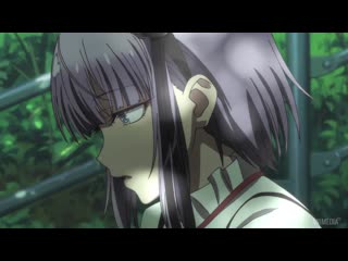 Dagashi kashi [12] [nazel komuro freya]