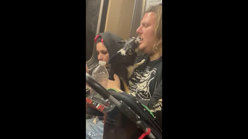 Зубы почистил?