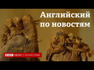 Учим английский по новостям серия lingohack the secret recipe of ancient mummification / learn english