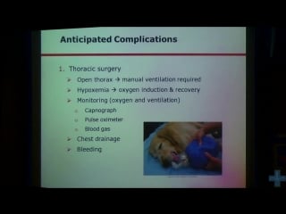 Анестезиологическое обеспечение при патологии органов грудной полости важные аспекты и методы