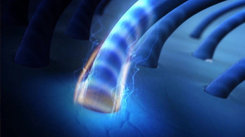 Ramzes666 head &amp; shoulders