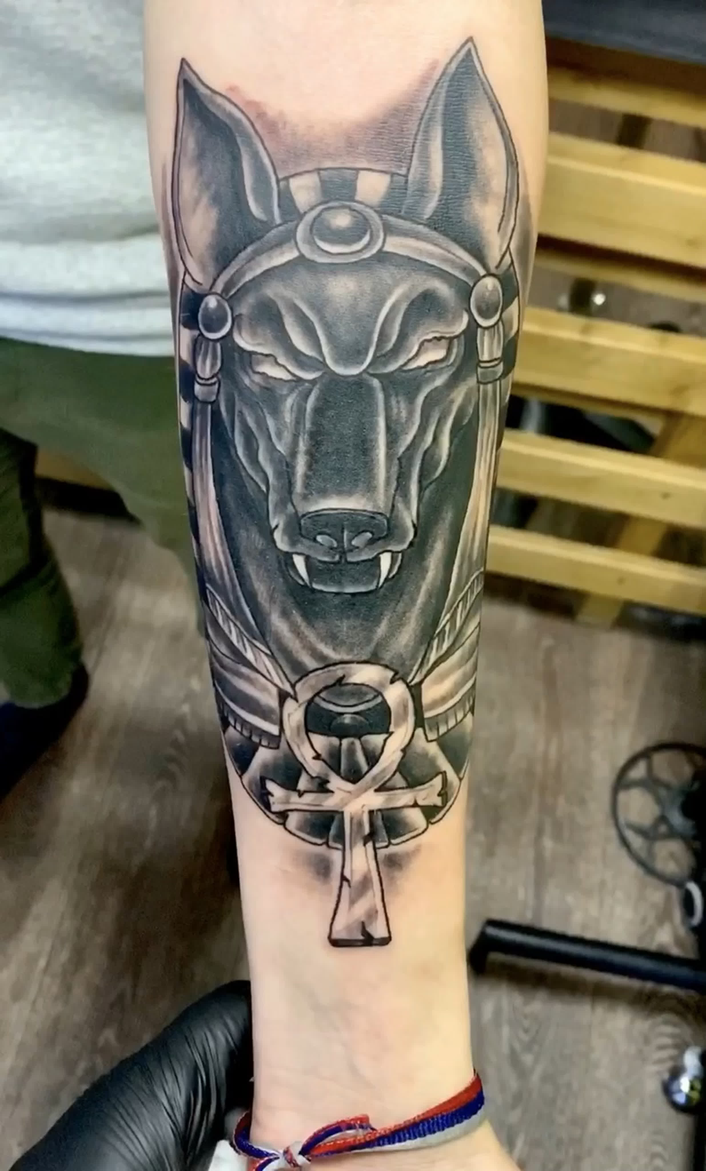 Anubis - BEST XXX TUBE