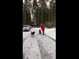 The ovechkin boys mixin’ it up in the driveway